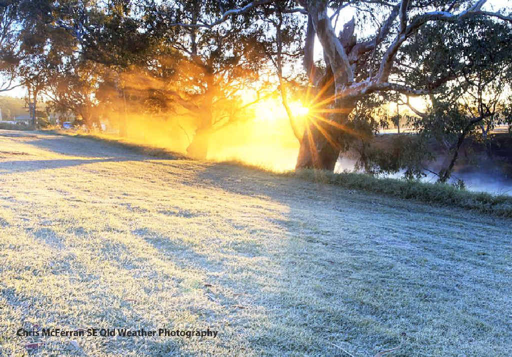 CHILLY CONDAMINE: Chris McFerran snapped this magnificent frost shot, down to minus six degrees by the Condamine River yesterday morning.